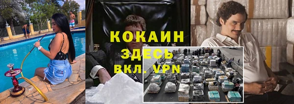 mdpv Краснослободск