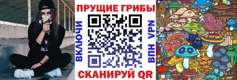Купить где  Жирновск  Галлюциногенные грибы мухоморы 